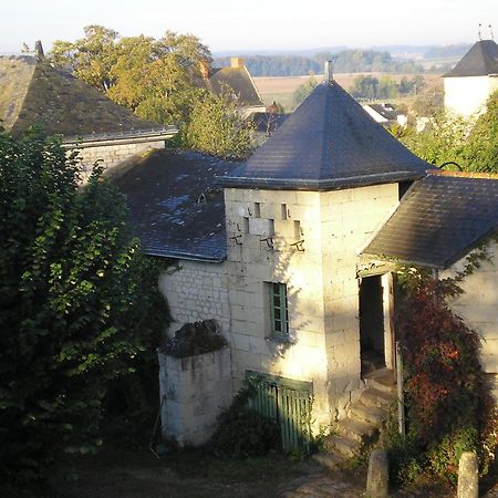 Manoir De Boisairault Bed & Breakfast Le Coudray-Macouard Ngoại thất bức ảnh
