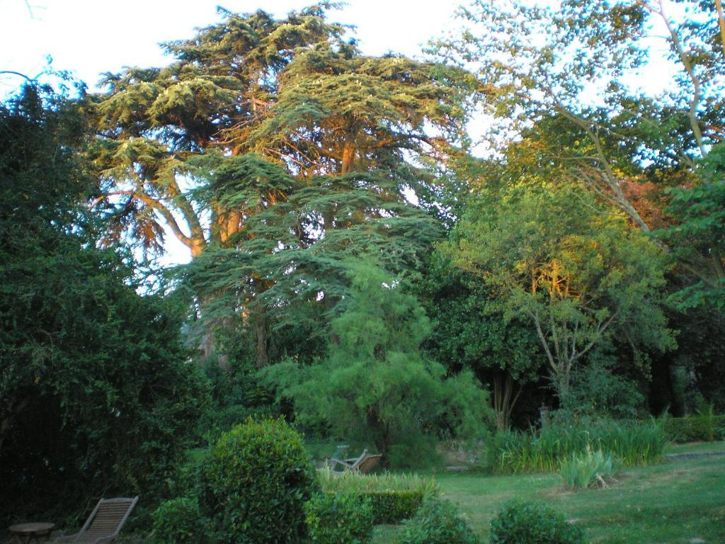 Manoir De Boisairault Bed & Breakfast Le Coudray-Macouard Ngoại thất bức ảnh