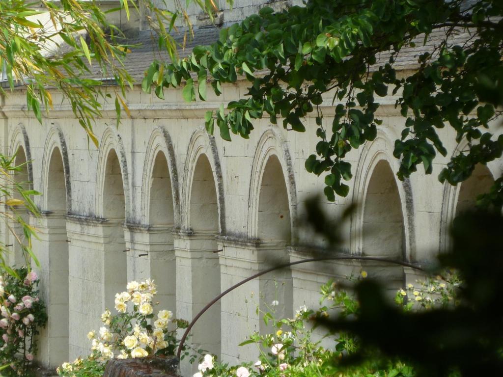 Manoir De Boisairault Bed & Breakfast Le Coudray-Macouard Ngoại thất bức ảnh